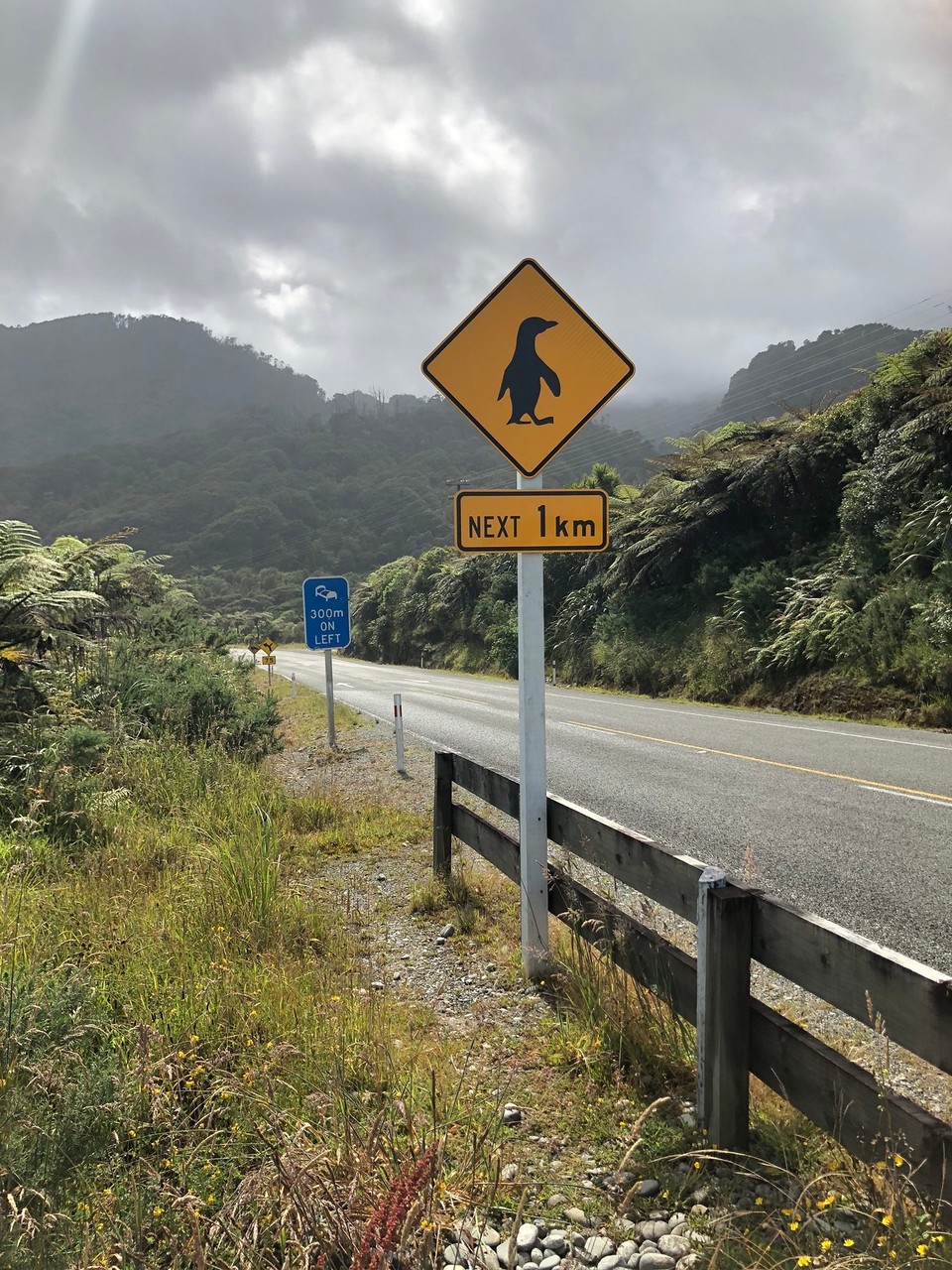 Neuseeland - Carters Beach - Danke für die Warnung. Leider haben wir keinen gesehen. 