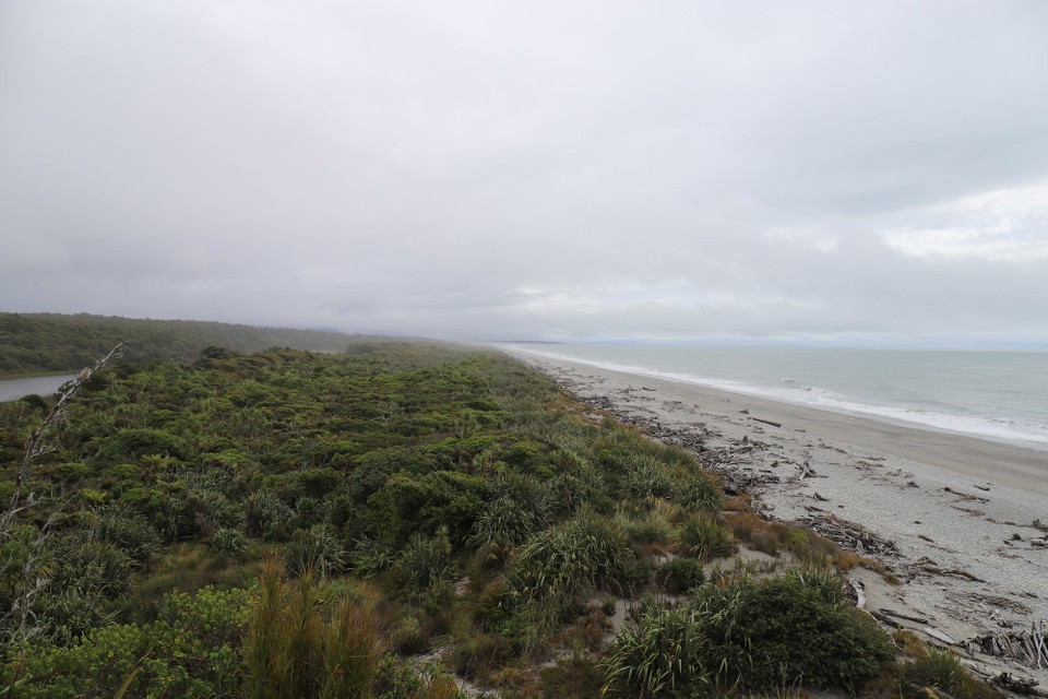 Neuseeland - Fox-Gletscher - Regenwald trifft auf den Strand
