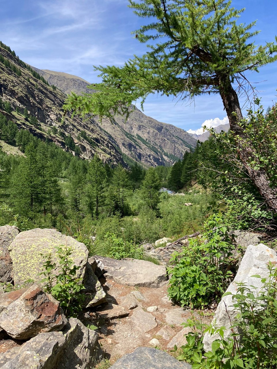 Italien - Cogne - Rückweg Flusswanderung