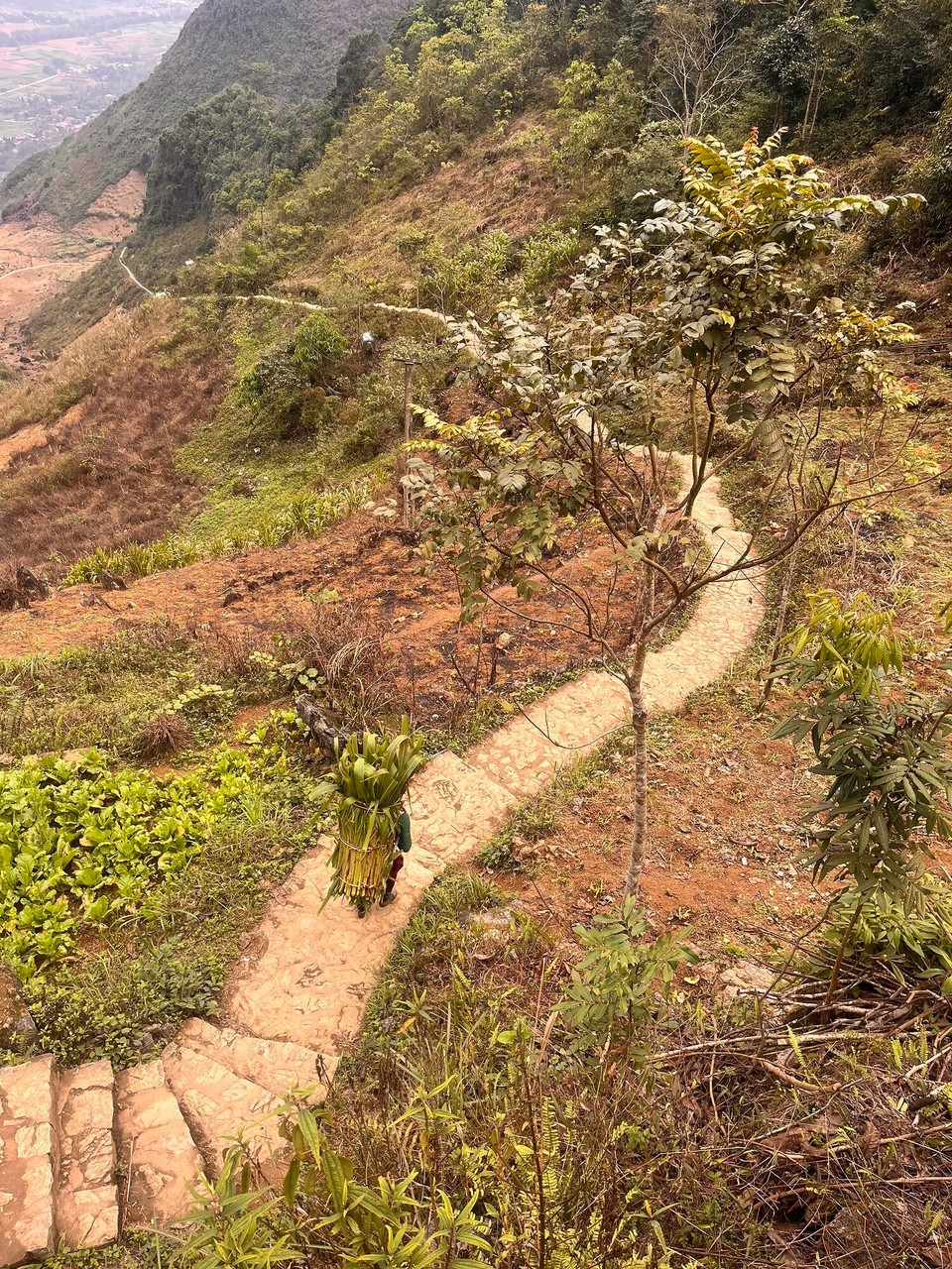 Vietnam - Ha Giang - 
