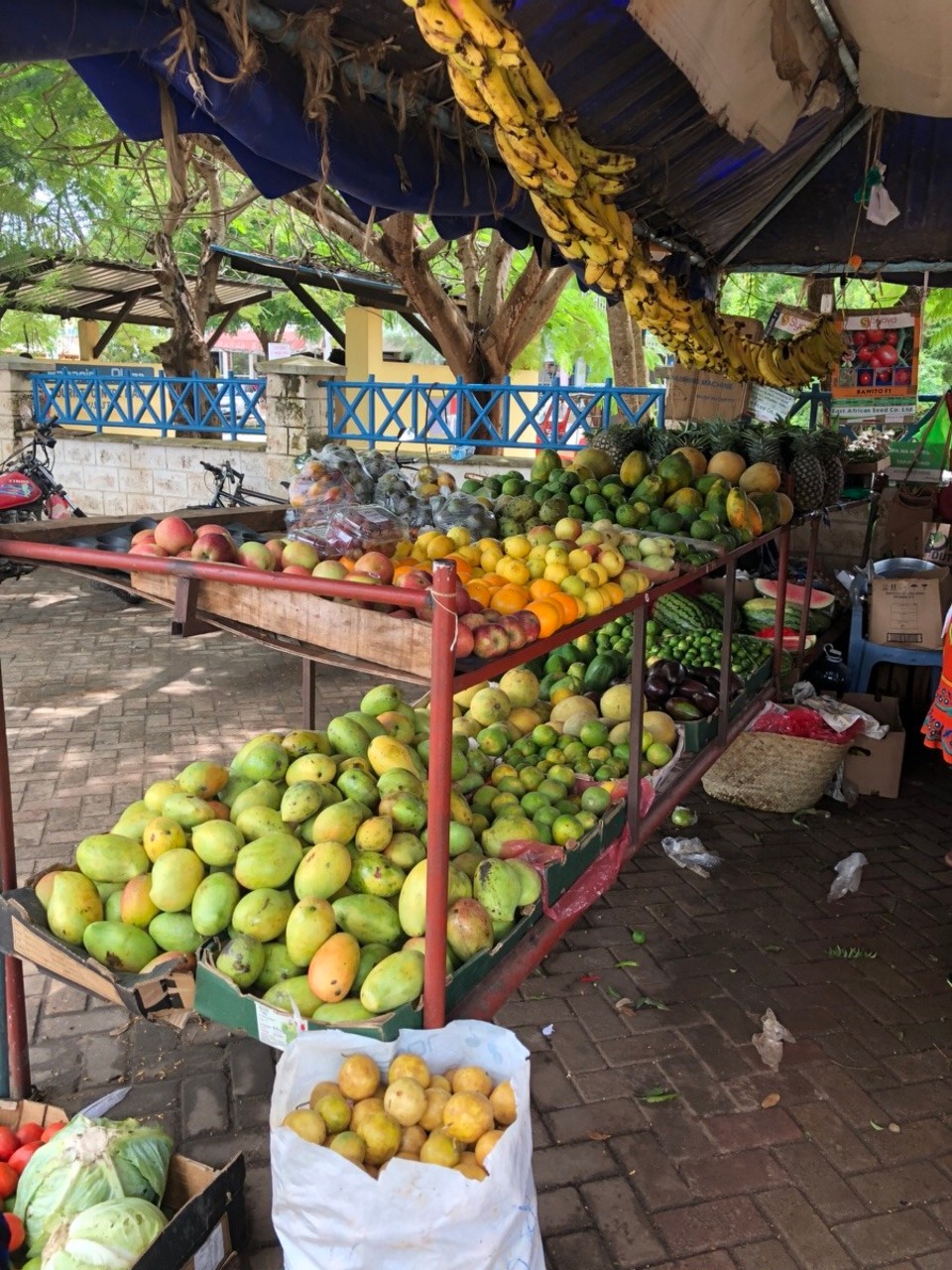 Kenia - Mombasa - 