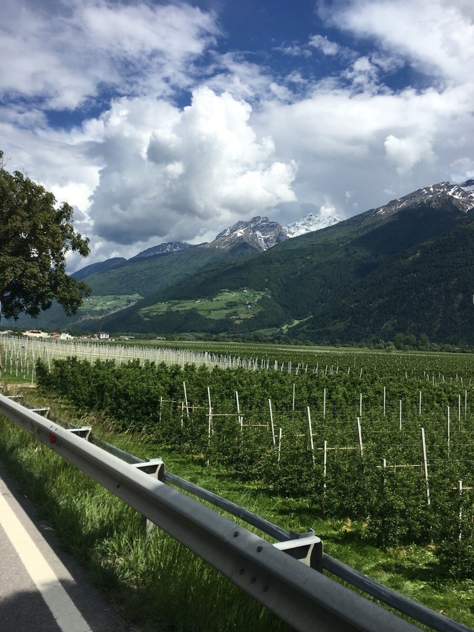 Italien - Oris - 