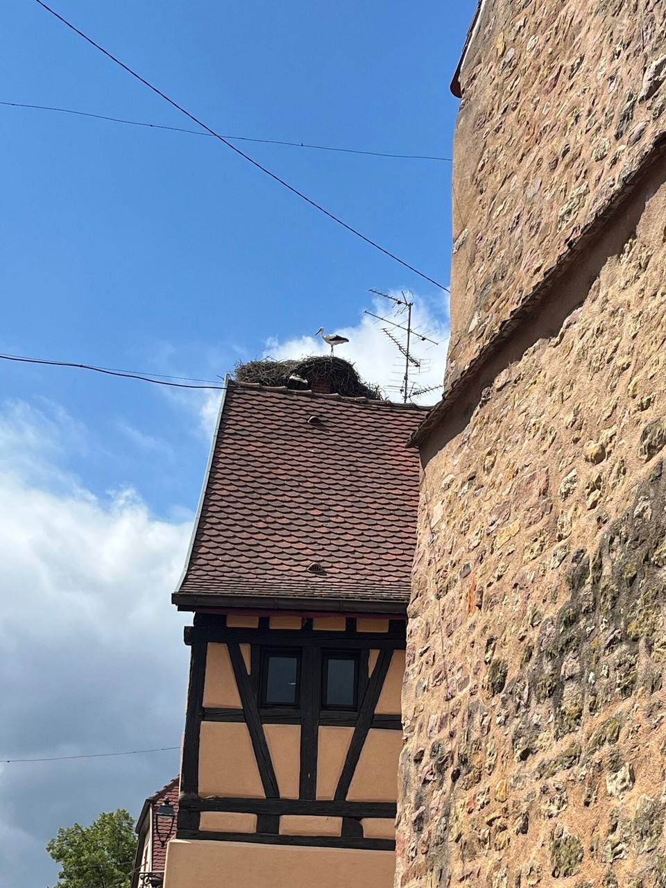 Frankreich - Eguisheim - 