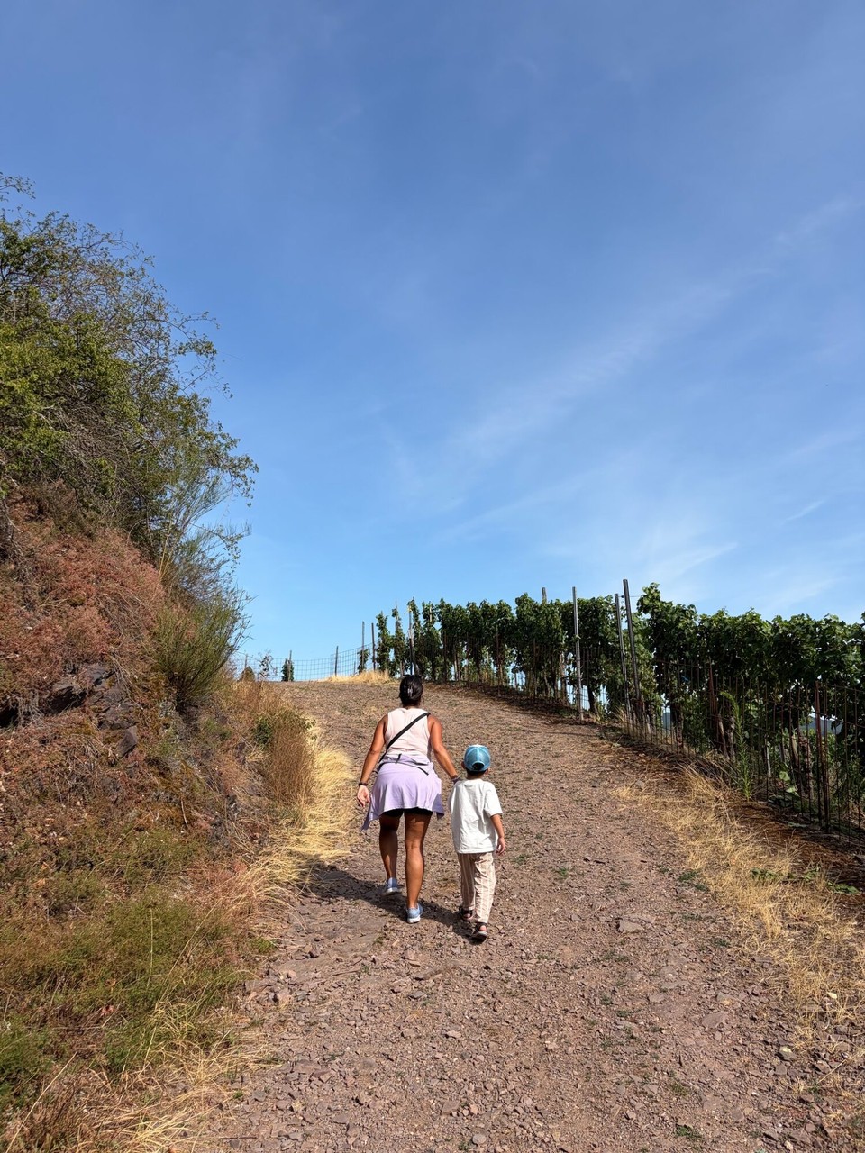 Deutschland - Bremm - Anschließend ging es weiter nach Bremm. Hier sind wir zu einem Aussichtspunkt auf dem Bremmer Calmont, dem steilsten Weinberg Europas, gewandert.