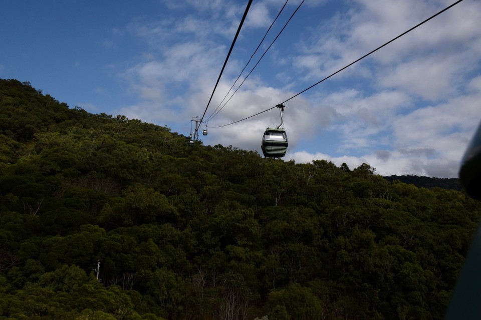 Australien - Kuranda - Heute ging unsere Tour in den Regenwald nach Kuranda.
Hoch in die Berge fuhren wir mit der Skyrail Rainforest Cabelway, 7,5 km immer Bergauf.