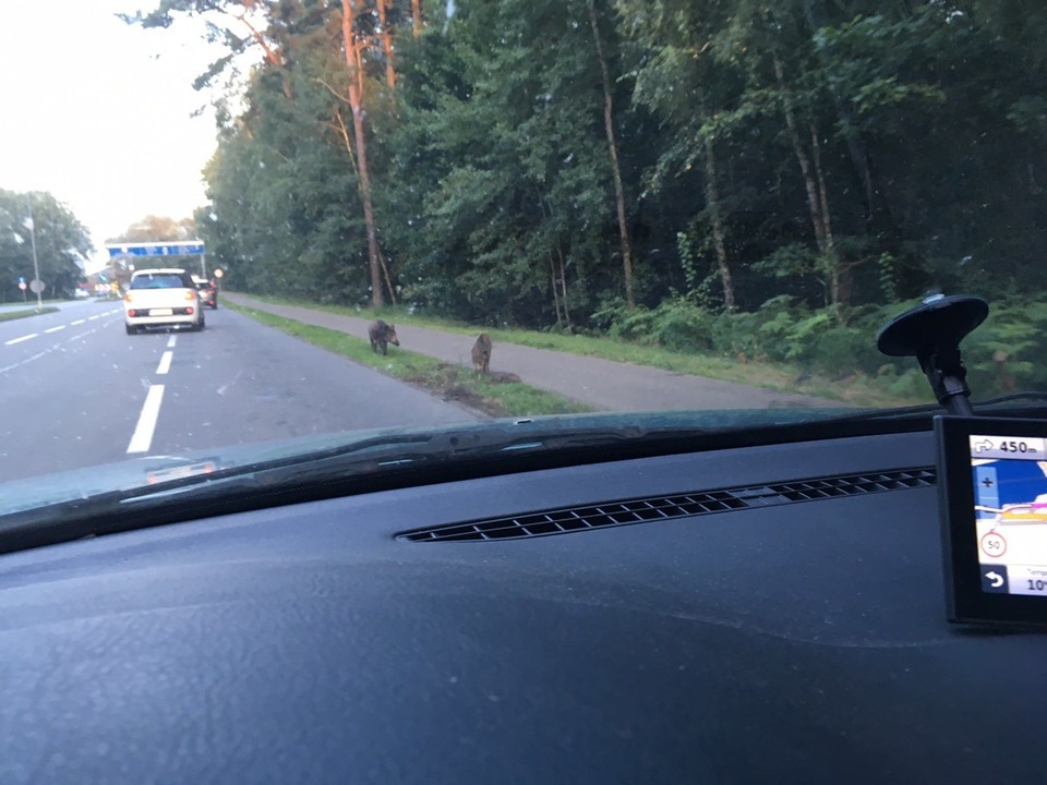 Polen - Swinemünde - 