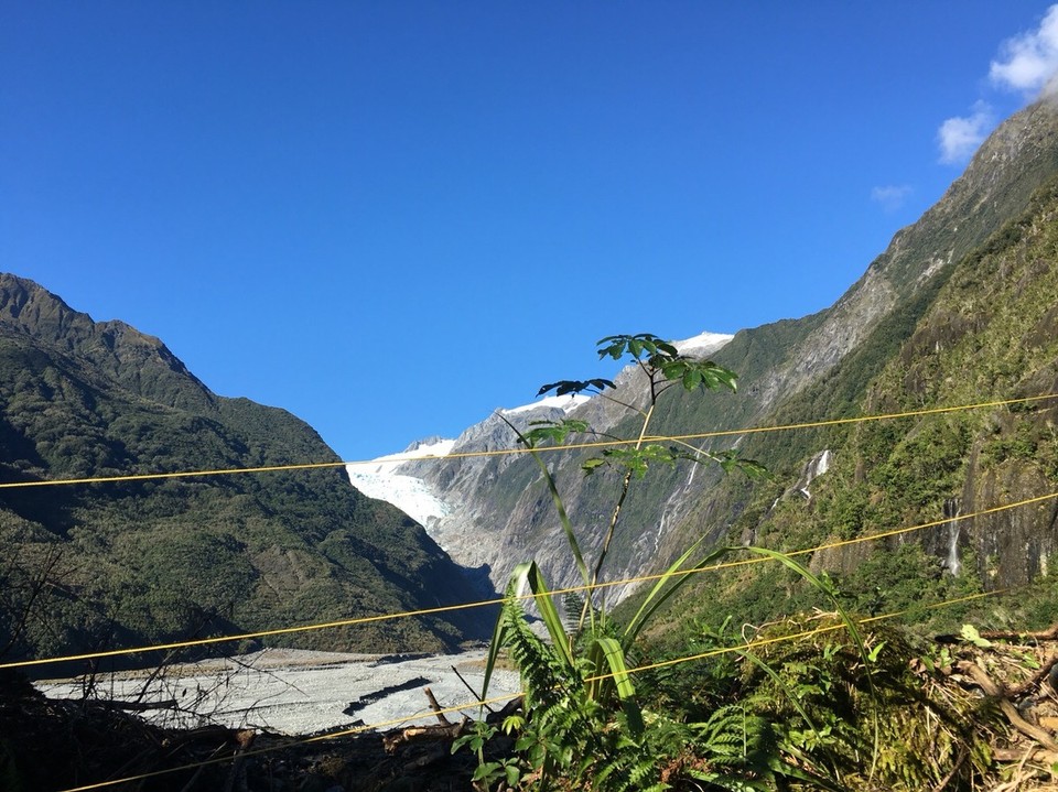 New Zealand - Franz Josef Glacier - Und dahinten ist er - der Franz Josef Gletscher 