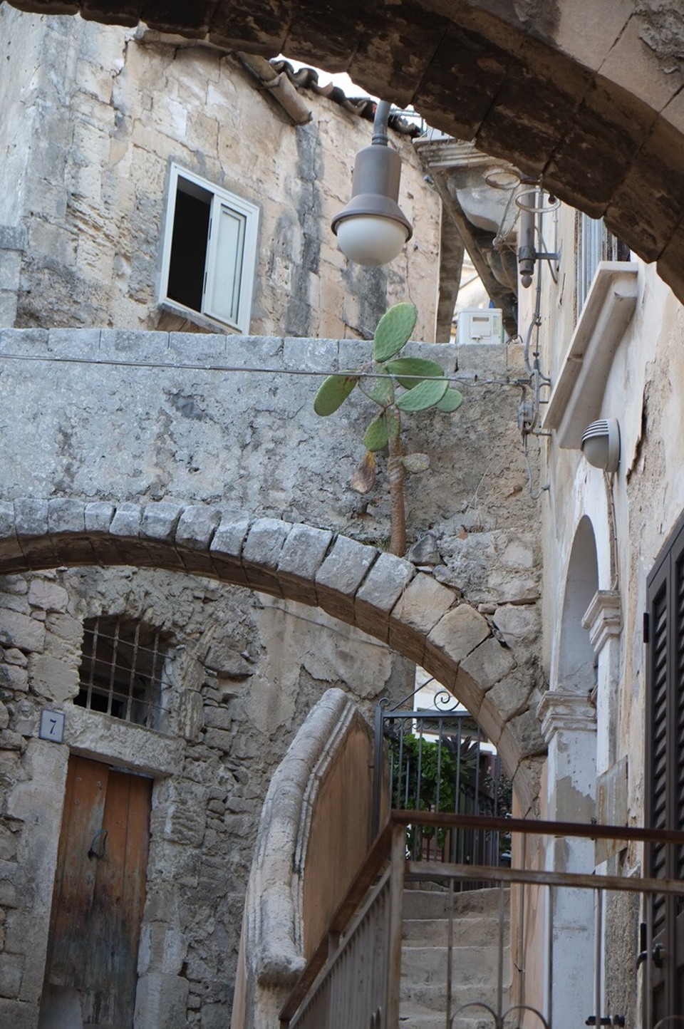 Italien - Modica - Die Kaktee