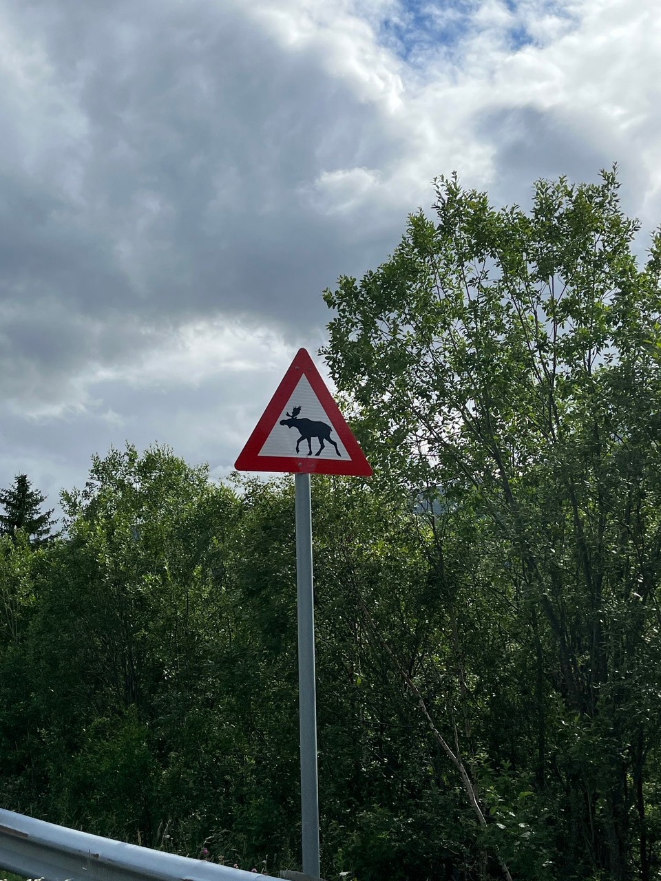 Schweden - Abisko - Ein typisches Schild an der Straße…