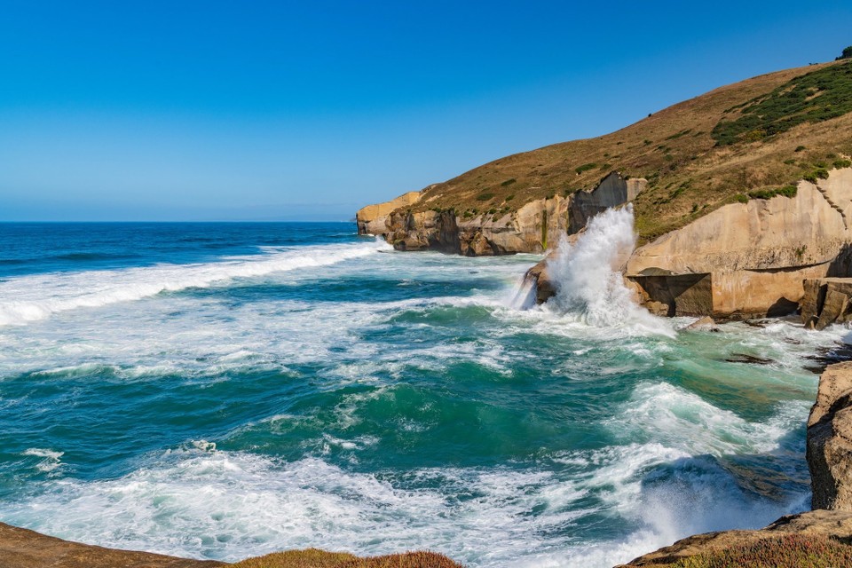 Neuseeland - Dunedin - 
