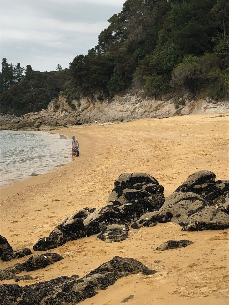 Neuseeland - Upper Moutere - Bucht bei Split Apple Rock