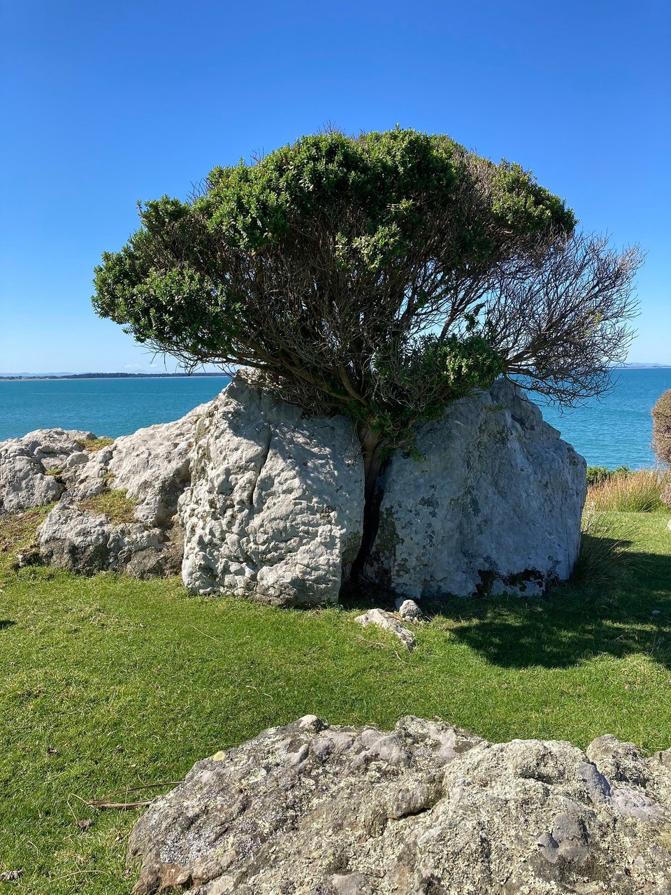 Neuseeland - Invercargill - 