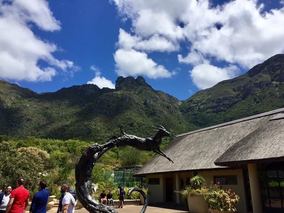 Südafrika - Cape Town - Kirstenbosch botanischer Garten
