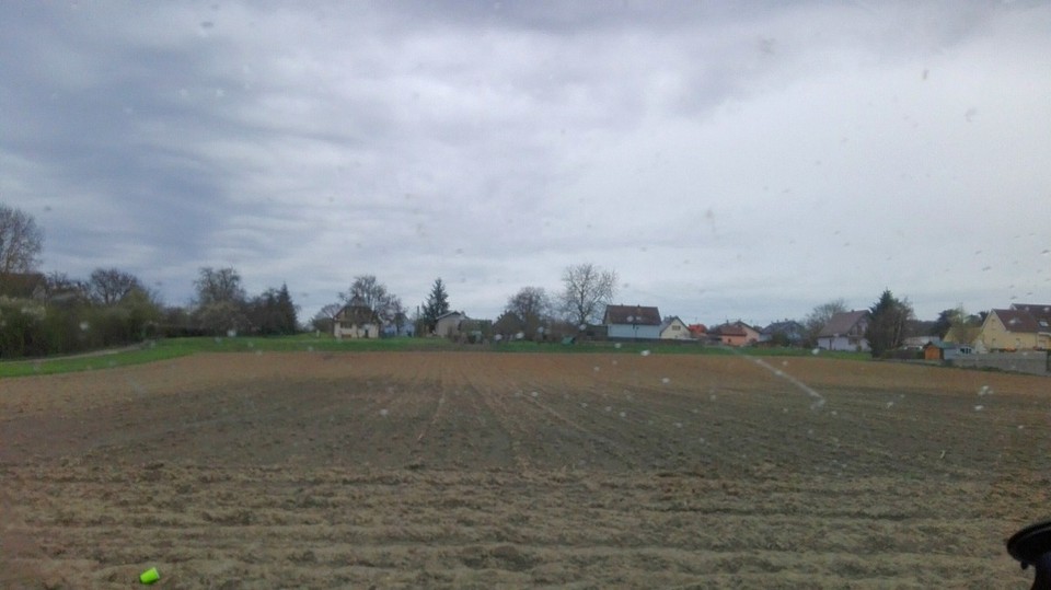 Frankreich - Hartmannswiller - Pittoresker Blick auf nen Acker...