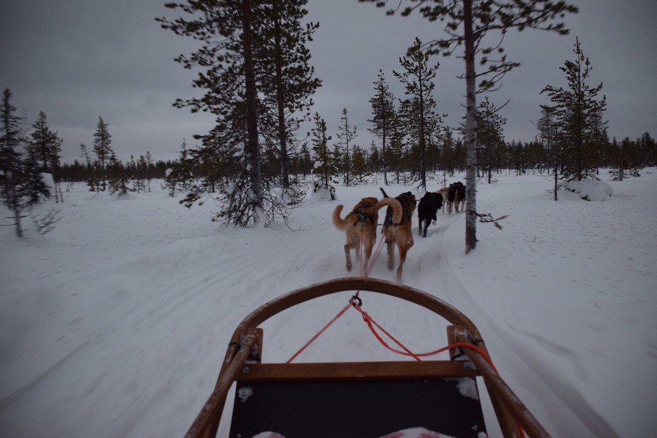 Finnland - Sirkka - 