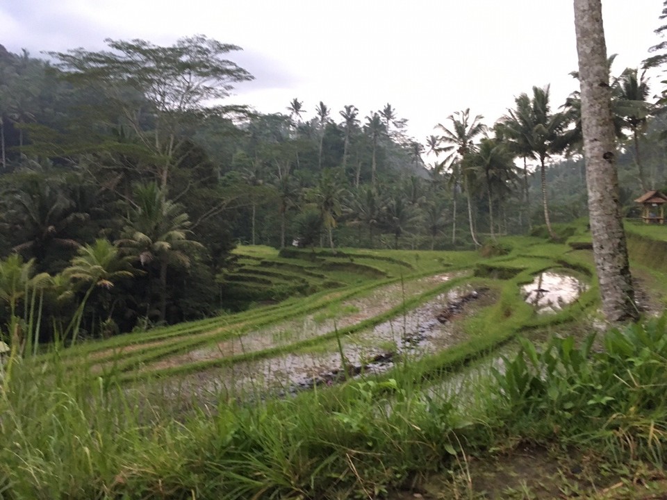 Indonesien - Bangli - 