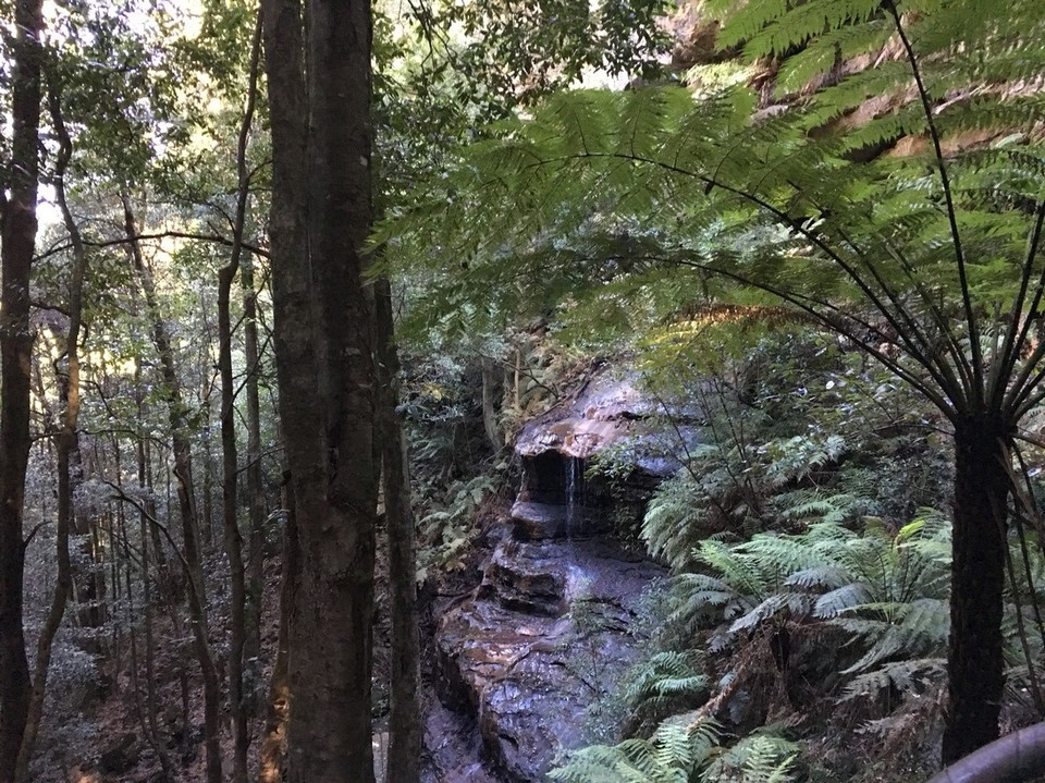 Australia - Sydney - Unterwegs in den Blue Mountains und die Natur zeigt was sie alles so kann - könnt ihr das Gesicht im Felsen erkennen