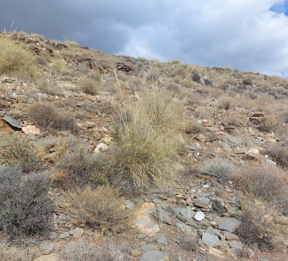 Spanien - Tabernas - ...