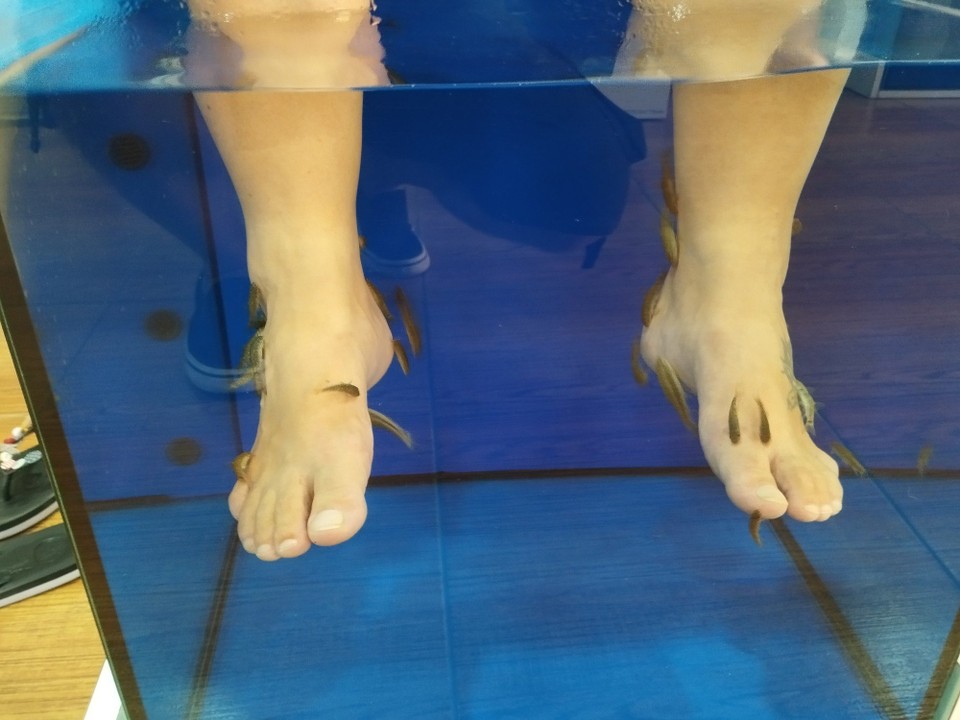 Spanien - Malgrat de Mar - .... Erholung für die Füße: Fisch Spa🤩🤩🤩🤩