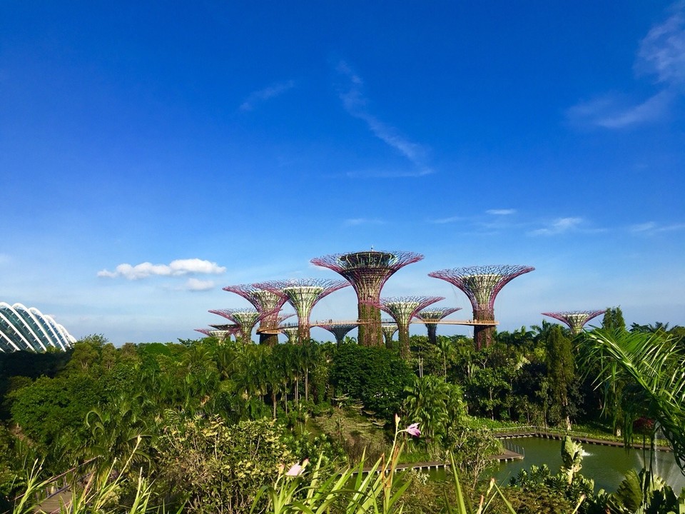 Singapur - Geylang - 