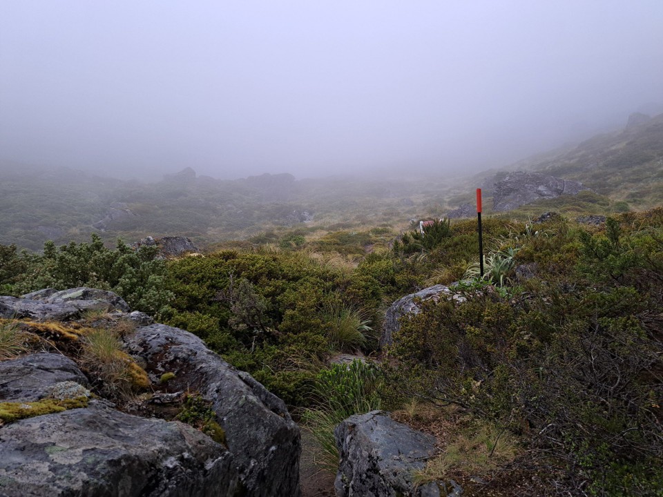 Neuseeland - Blue Lake - 