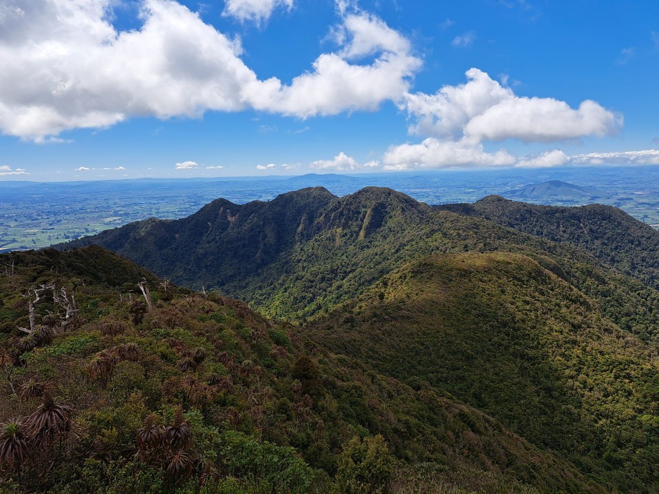Neuseeland - Puketotara - 
