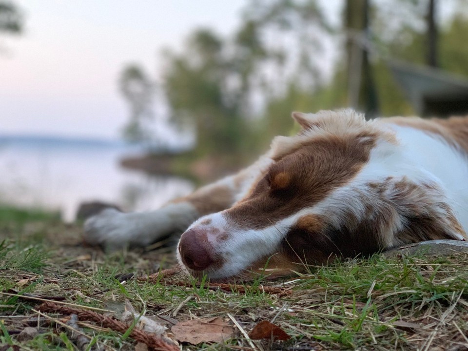 Sverige - Hyltebruk - Meine beste Freundin, mein zweites Ich - Tara ❤️