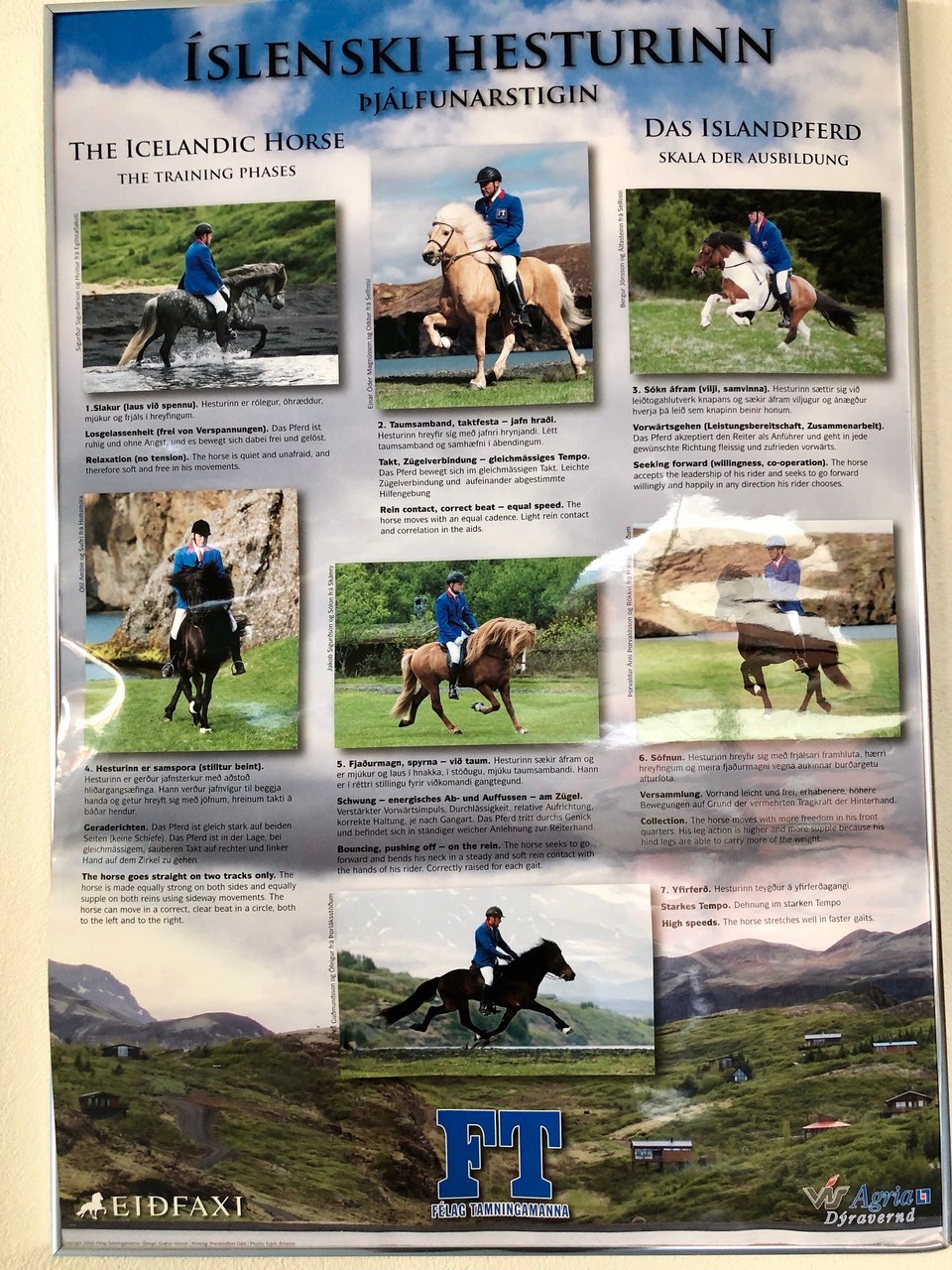 Island - Hólar - Erst einmal beeindrucken mich die Poster, die hier herumhängen. Die Ausbildungsskala des Islandpferdes. Obwohl mir hier auf Island die Reiterei komplett anders erscheint, als die der klassischen englischen Reiterei, ähneln sich beide Skalen sehr. 5 der 7 aufgeführten Punkte sind identisch.😮😀✌️