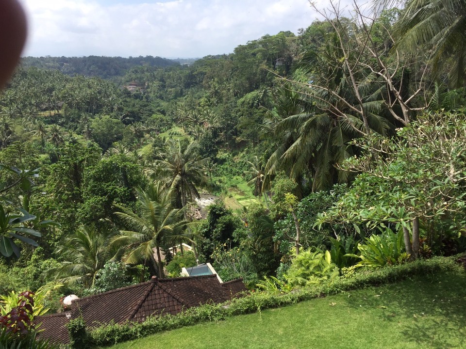  - Indonesien, Gianyar, 80571 - Blick von der Terrasse 