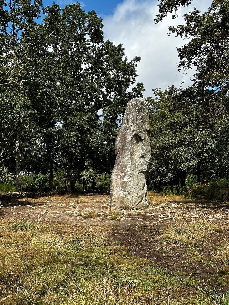 Frankreich - Carnac - Der Hinkelstein mitten im Wald