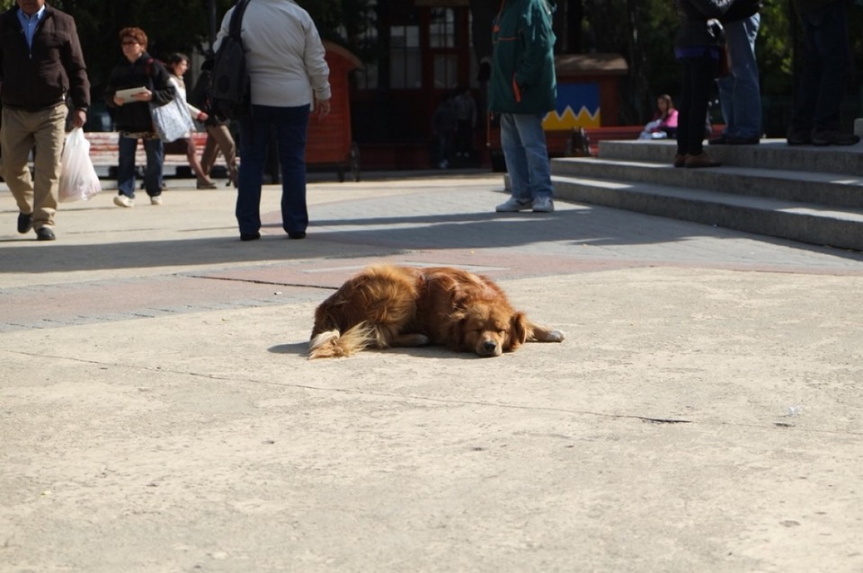 Chile - Punta Arenas & Porvenir - 