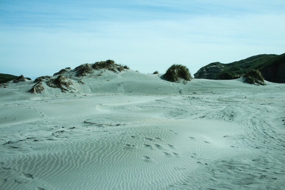 Neuseeland - Farewell Spit - 
