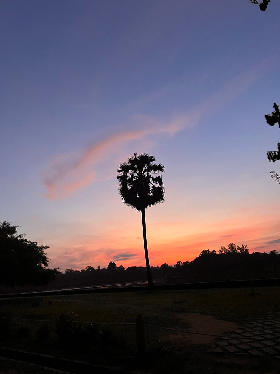 Cambodia - Siem Reap - An early rise at 4am this morning for the Angkor Wat tour. I didn’t know much about this world wonder but our tour guide was so good and now I’m well informed! The temple dates back to 1150 as a Hindu temple and was later converted to a Buddhist temple.