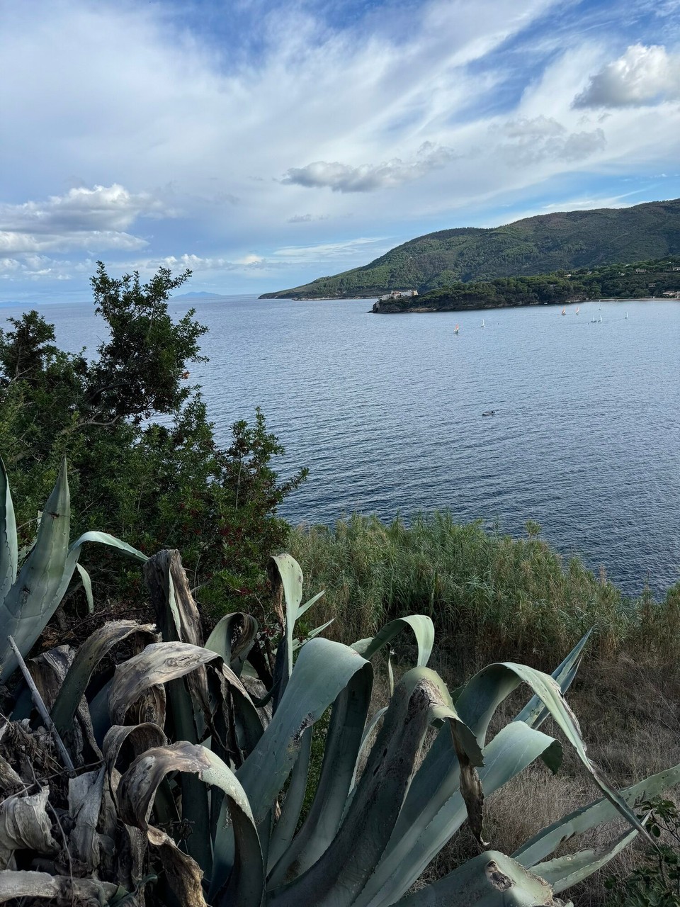 Italien - Capoliveri - Schöner Ausblick 