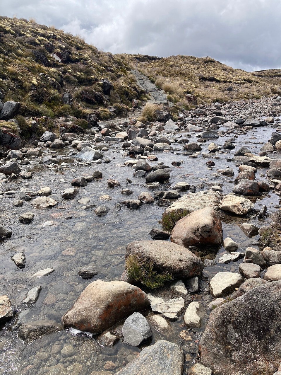 Neuseeland - Tongariro National Park - Flussüberquerung