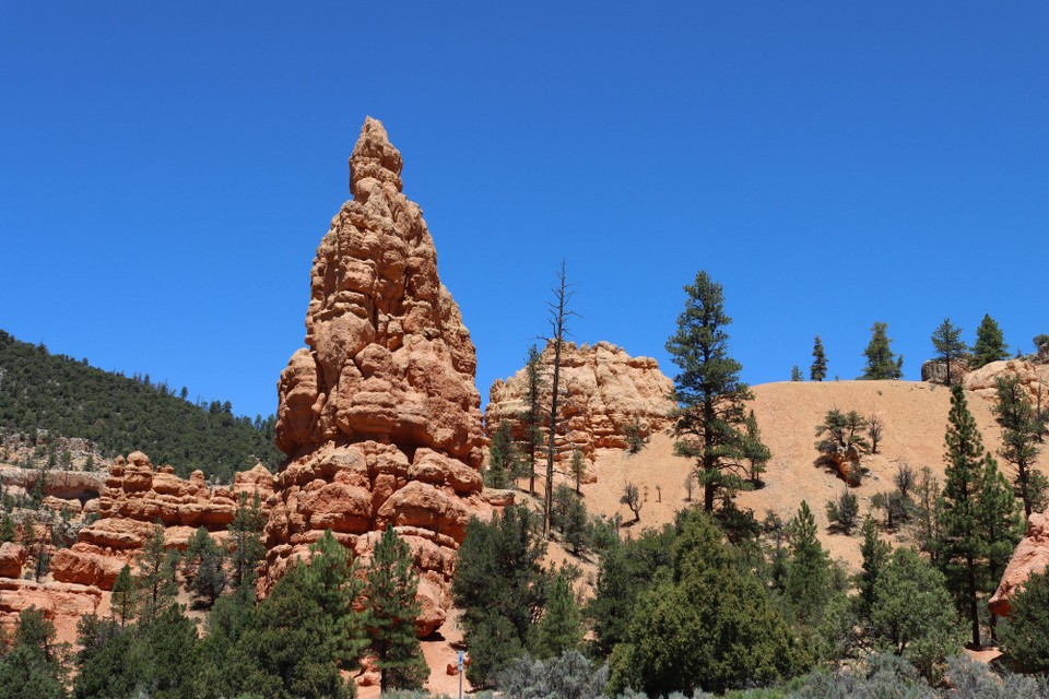 USA - Cannonville - Red Canyon