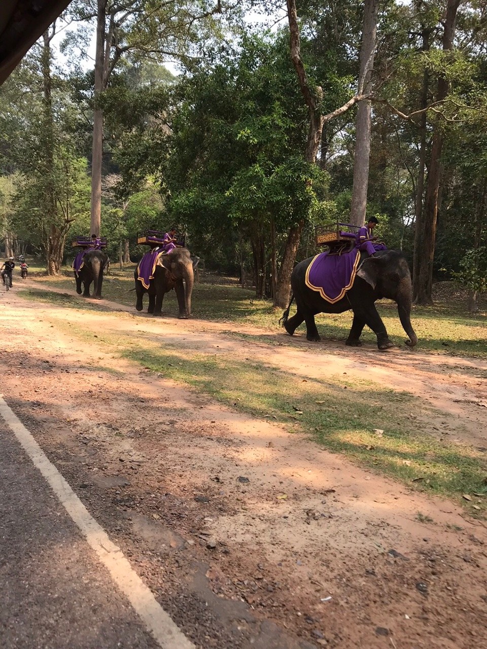 Cambodia -  - 