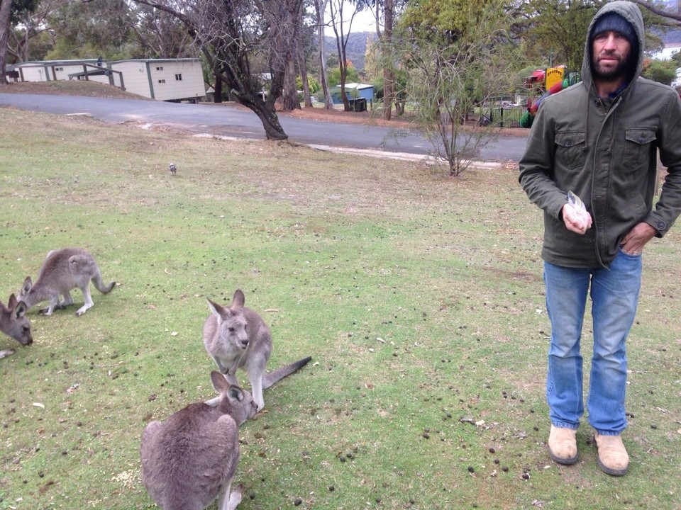 Australia - Burrinjuck - 