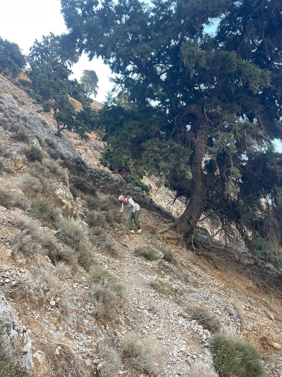 Griechenland - Chora Sfakion - 