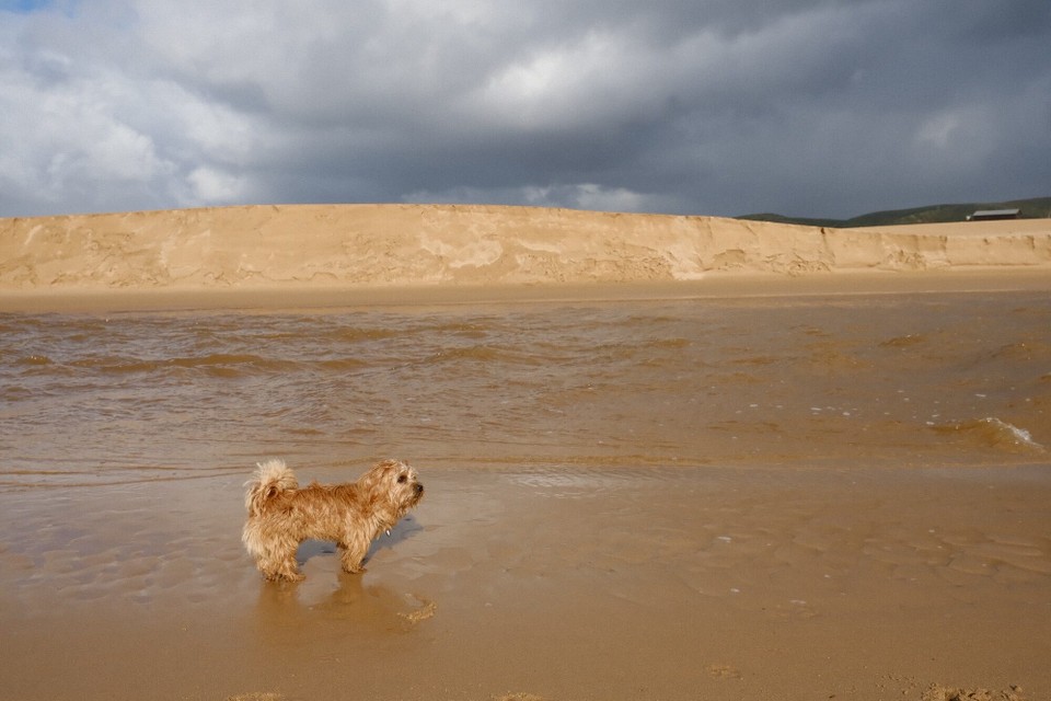 Portugal - Bordeira - 