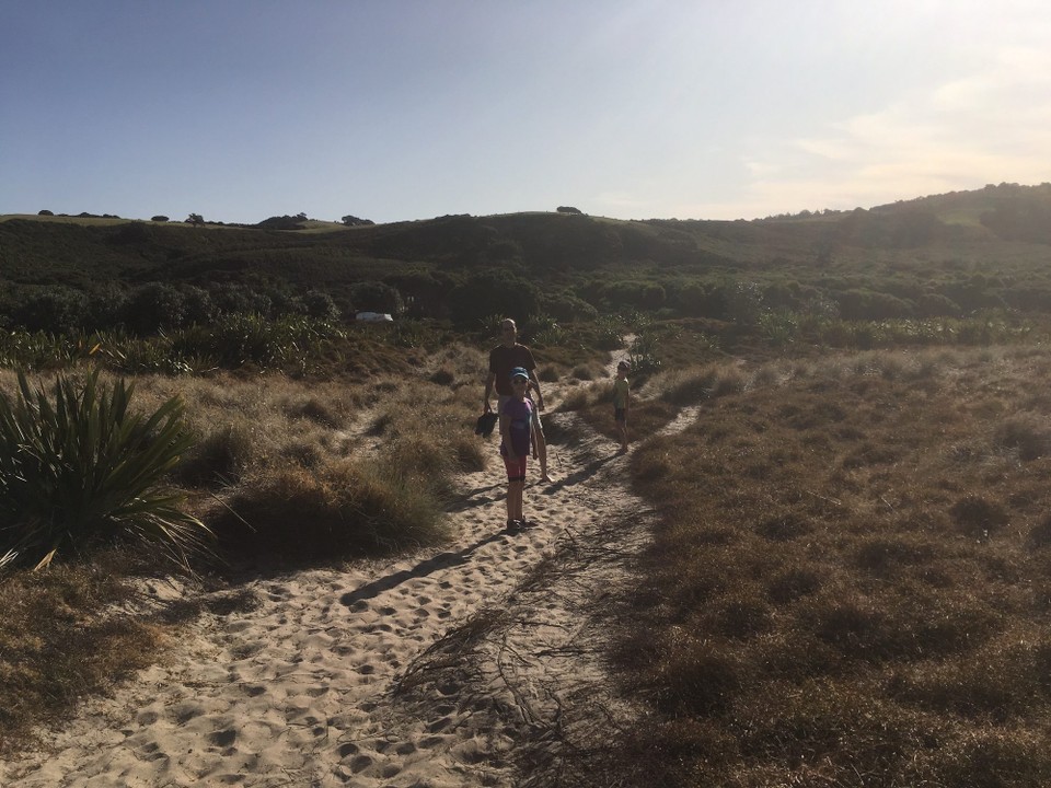 Neuseeland - Tawharanui Peninsula - Auf dem Rückweg vom Strand. Hinten sieht man unseren Britz.