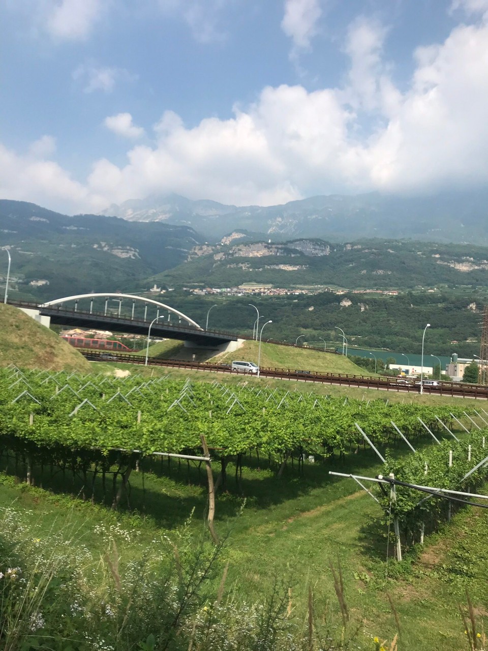 Italien - Pomarolo - 