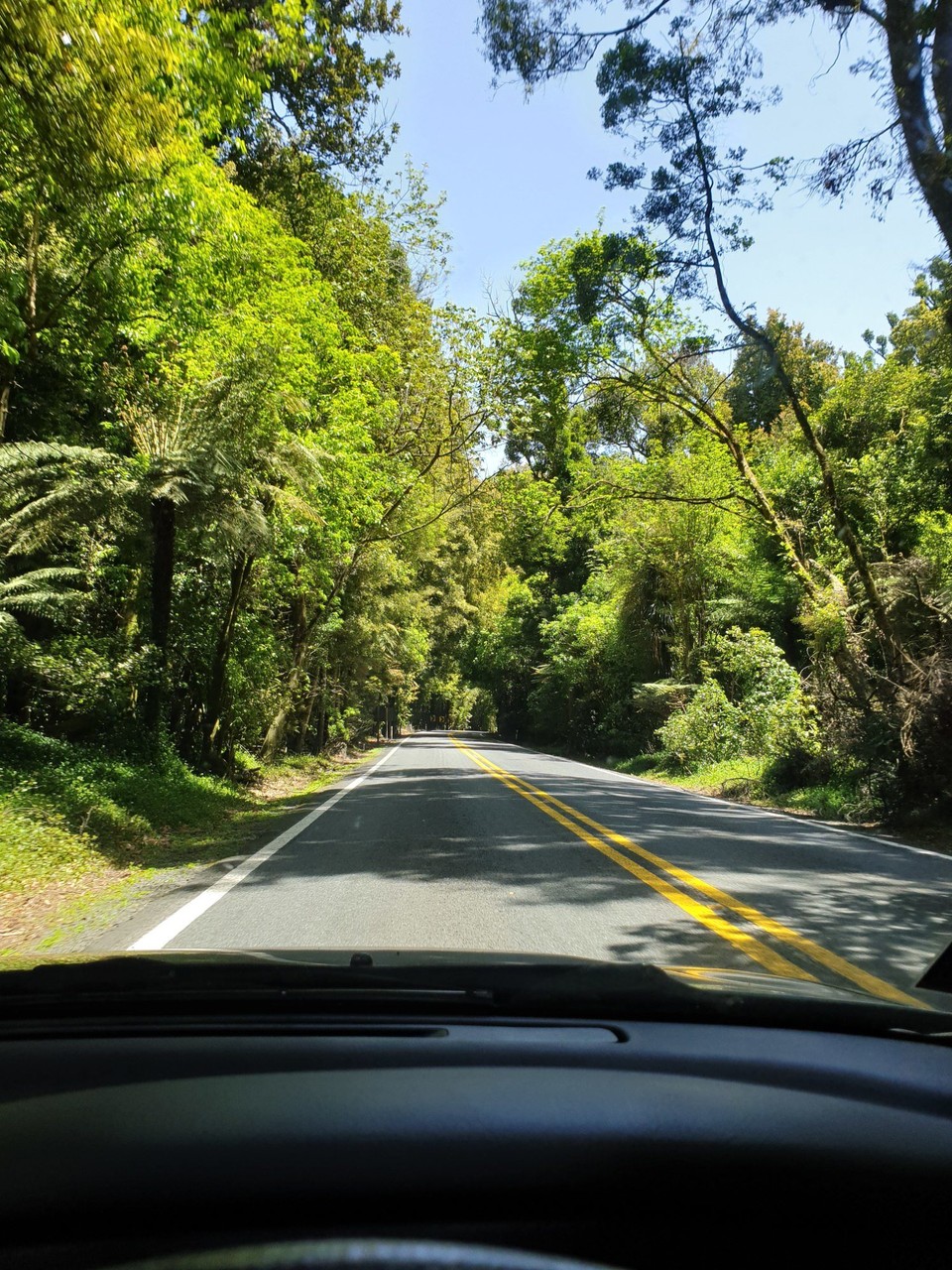 Neuseeland - Kihikihi - Auf dem Weg zum Turnier... wunderschön!