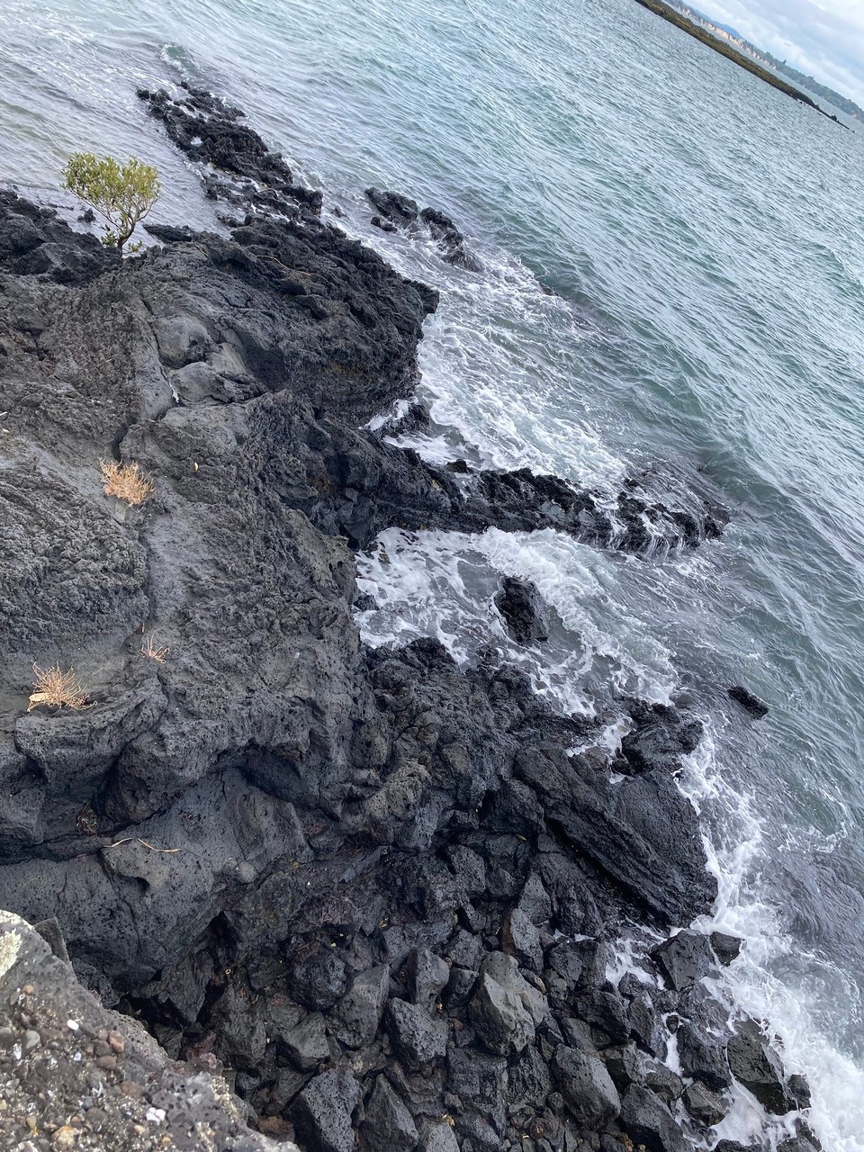 Neuseeland - Waitemata and Gulf Ward - 