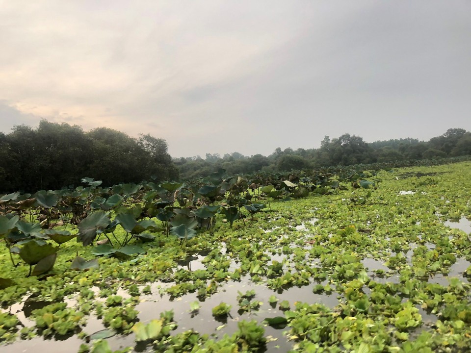 Vietnam - Tp. Châu Đốc - 