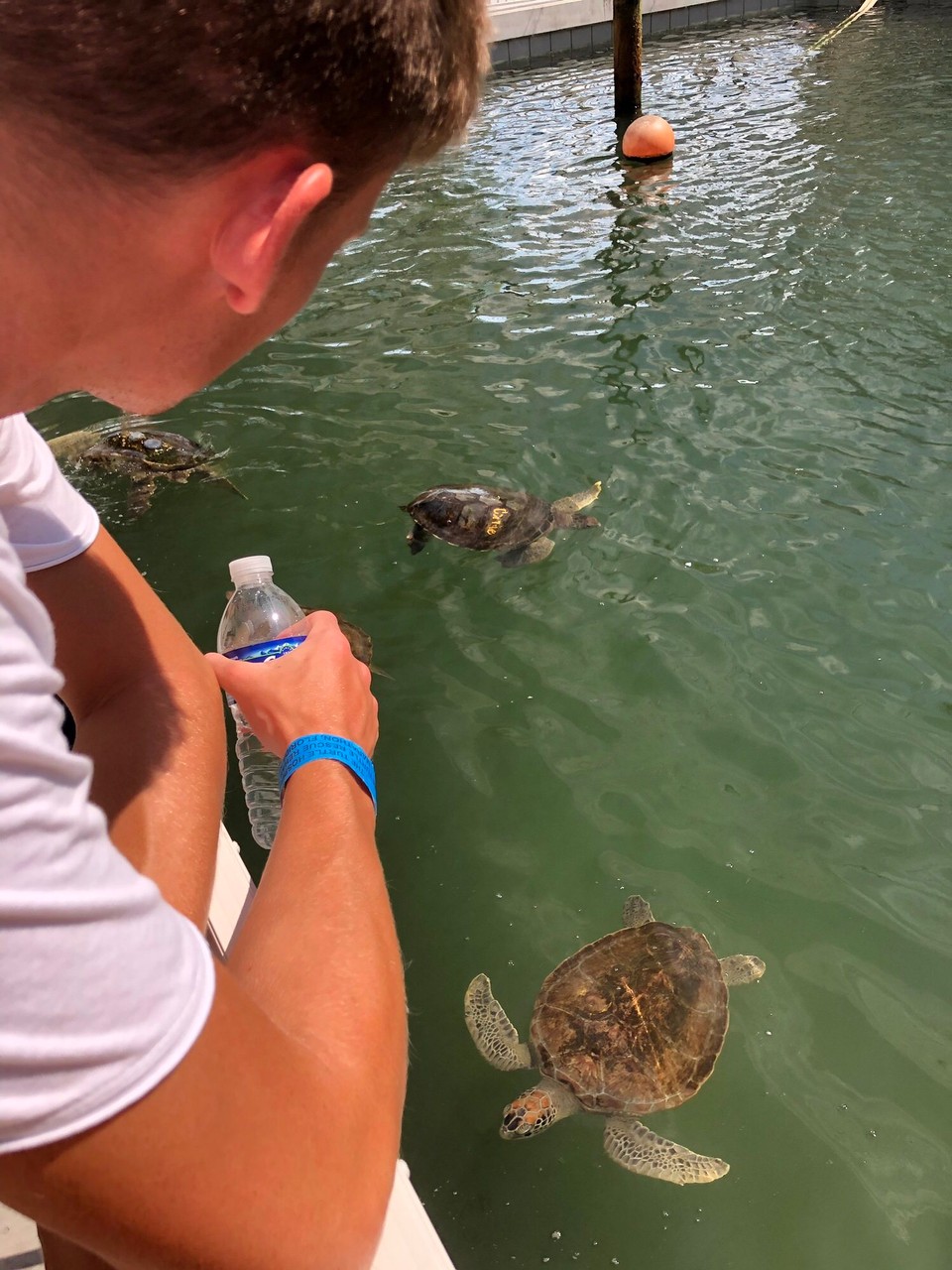 Vereinigte Staaten - Key West - 