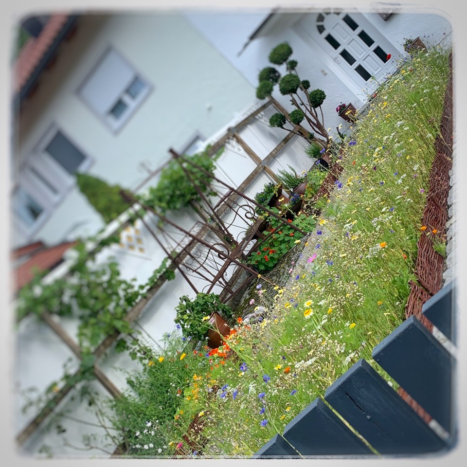 Deutschland - Garmisch-Partenkirchen - Zauberhafter Garten! 
Die Idee ist wirklich schön. 