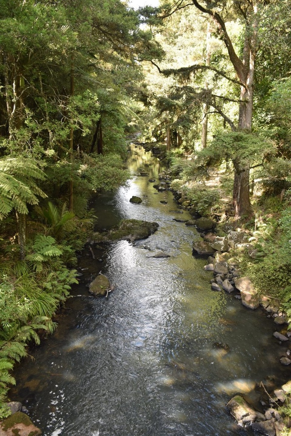 Neuseeland - Paihia - 
