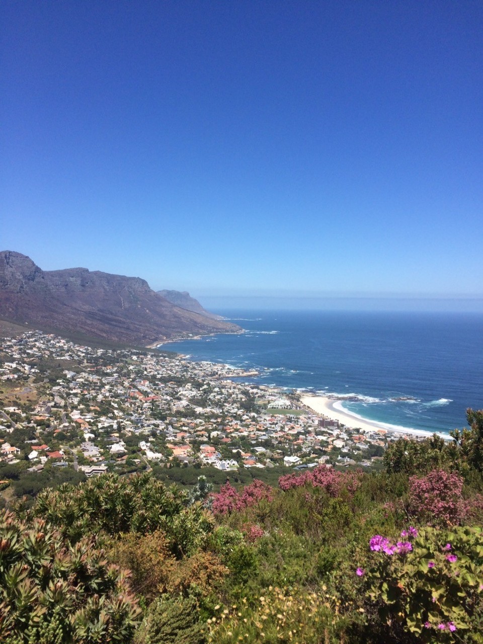  - Südafrika, Kapstadt, Lion's Head - Camps Bay von oben