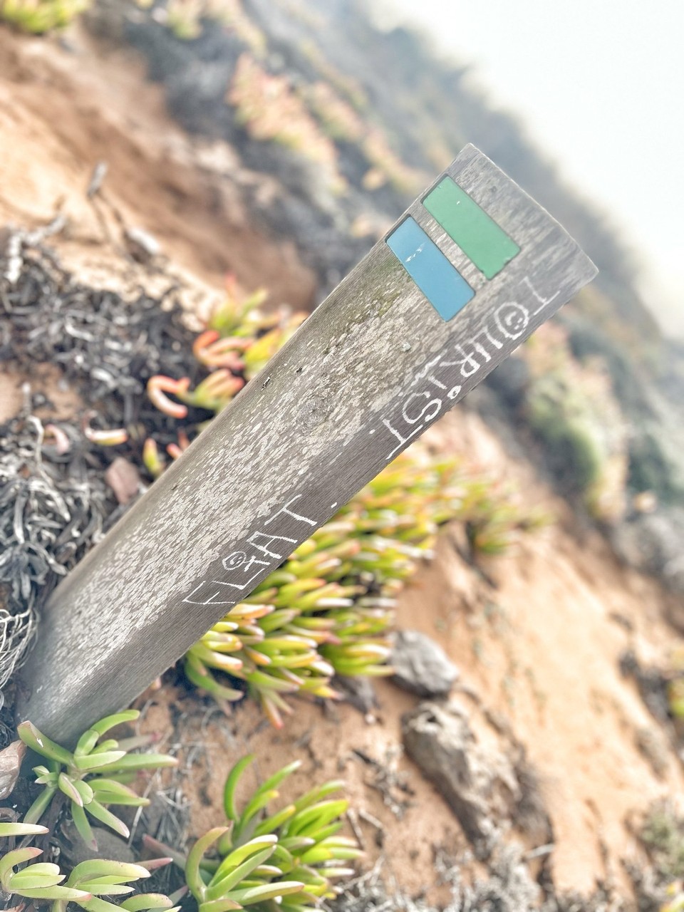 Portugal - São Teotónio - 